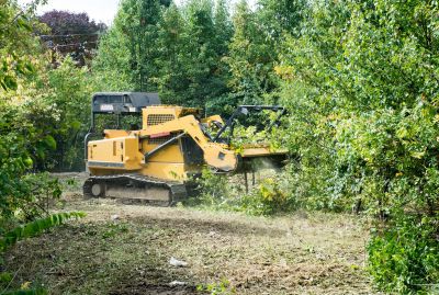 Seasonal Land Clearing Projects