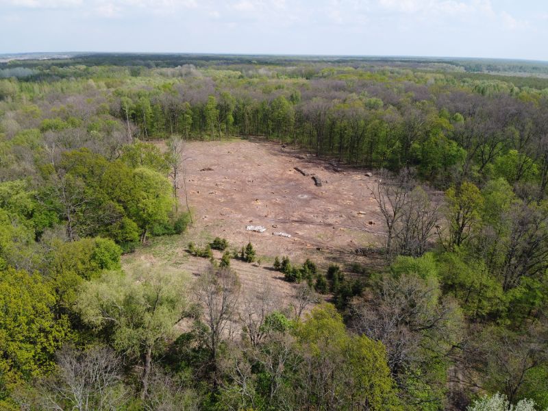 Before and After Land Clearing