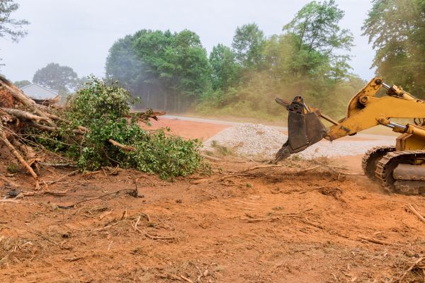 Cost of Forestry Mulching Service in Des Moines