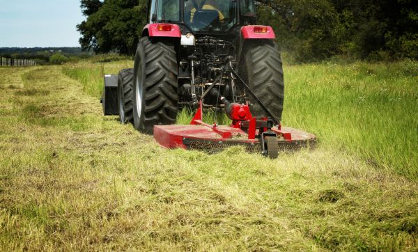 Cost of Brush Clearing Service in Des Moines