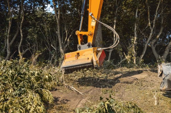 Cost of Brush Removal Service in Des Moines