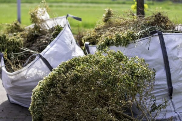 Cost of Bushes Clearing in Des Moines