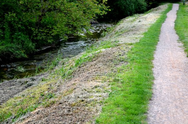 Cost of Trail Cutting in Des Moines
